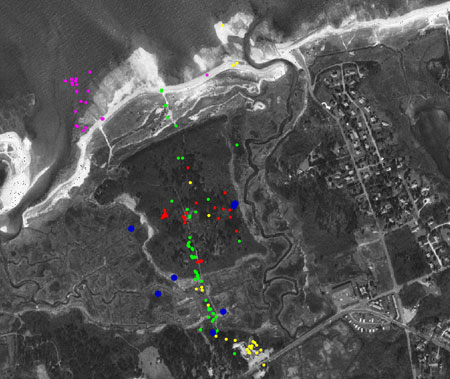 Cape Cod data points