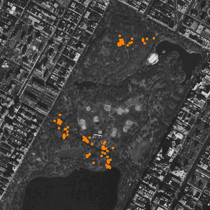 Central Park invasives map