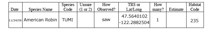 American robin data