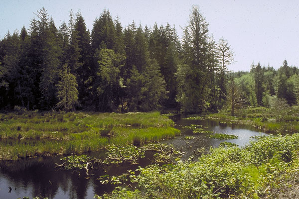 habitat photo