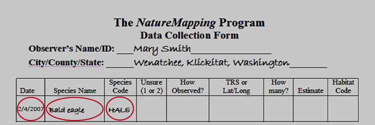 Data Collection Form - Protocol 2