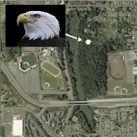 bald eagle map