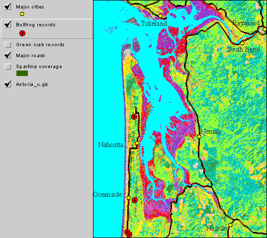 Satellite Image of Willapa Bay