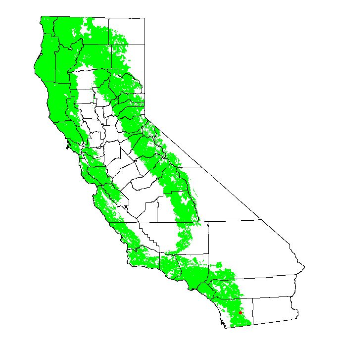 California Bird Maps