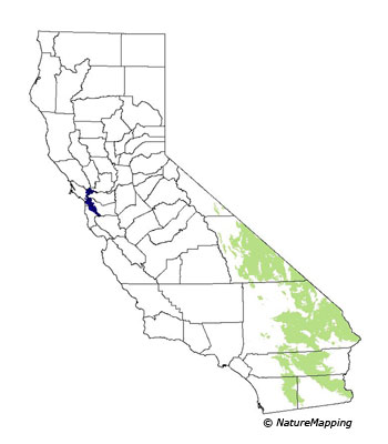 Bighorn Sheep Map