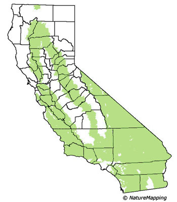 Click to enlarge Range map