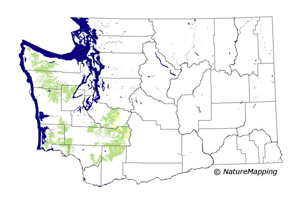 Click to enlarge Range map