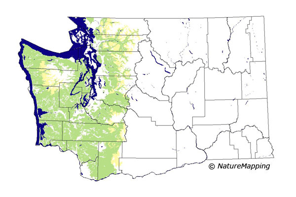 Click to enlarge Range map