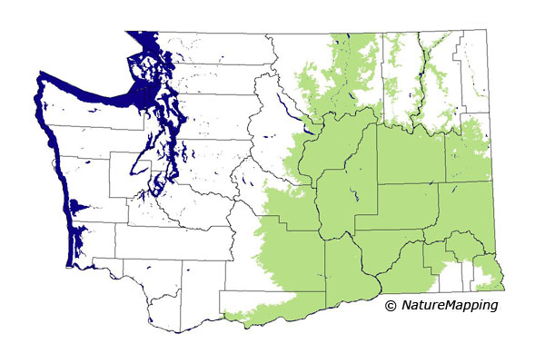 Click to enlarge Range map