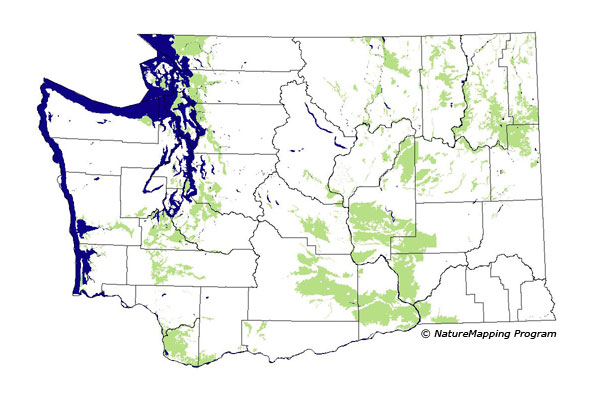 Click to enlarge Range map