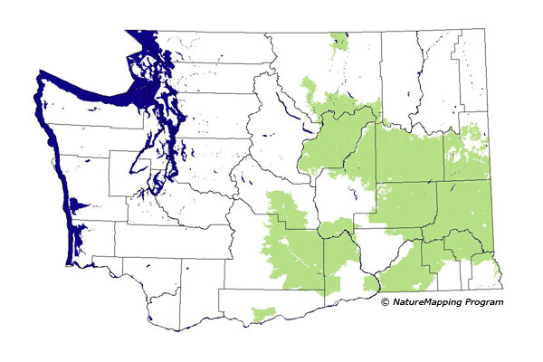 Click to enlarge Range map