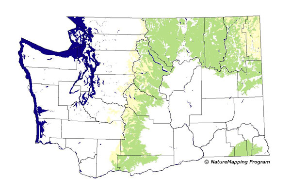 Click to enlarge Range map