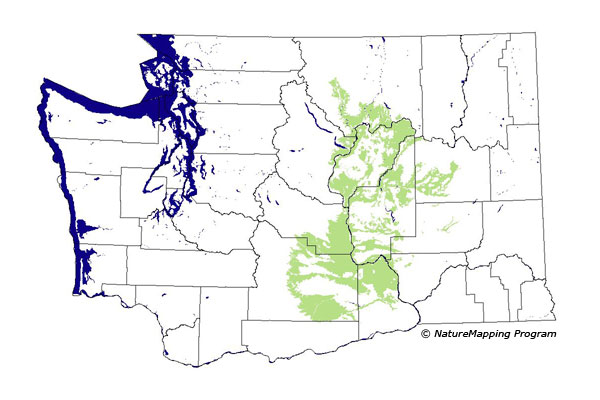 Click to enlarge Range map