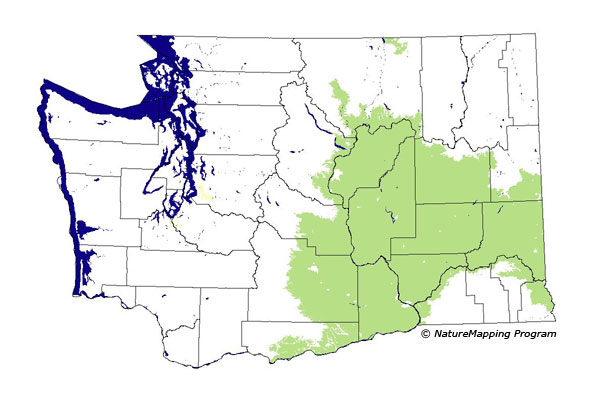 Click to enlarge Range map