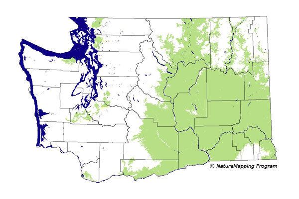 Click to enlarge Range map