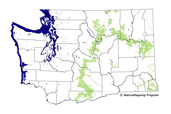 Click to enlarge Range map