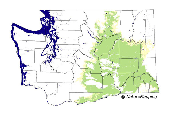 Click to enlarge Range map