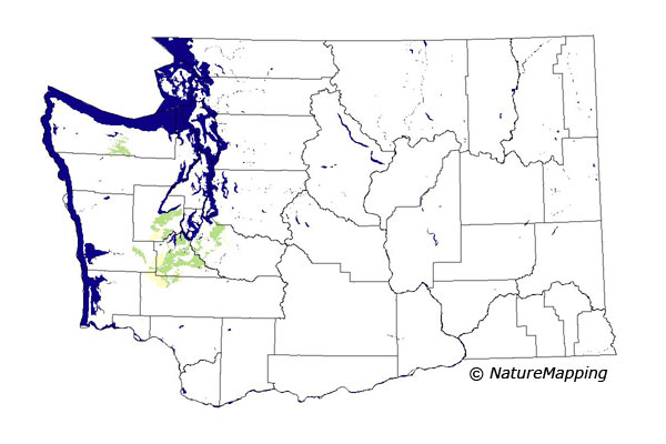 Click to enlarge Range map