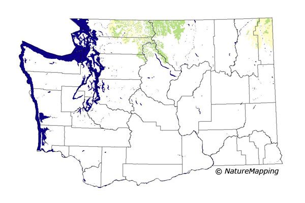 Click to enlarge Range map