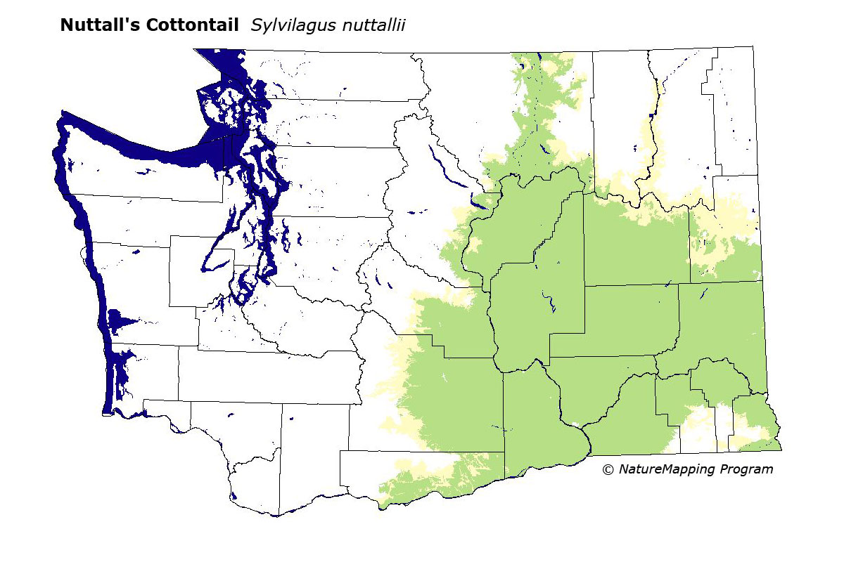 Distribution Map - Nuttall's Cottontail (Sylvilagus nuttallii