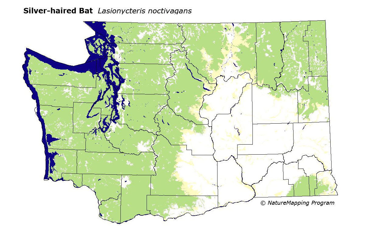 Distribution Map - Silver-haired Bat (Lasionycteris noctivagans)