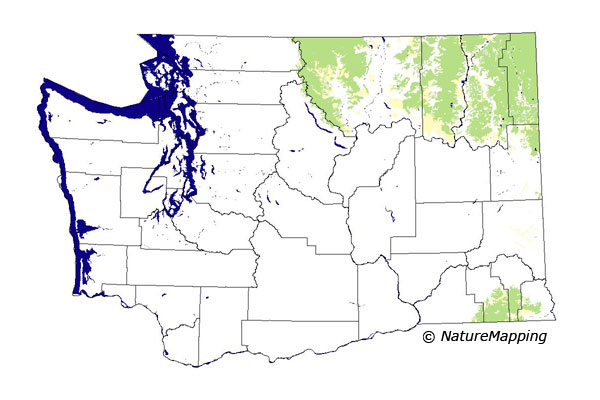 Click to enlarge Range map