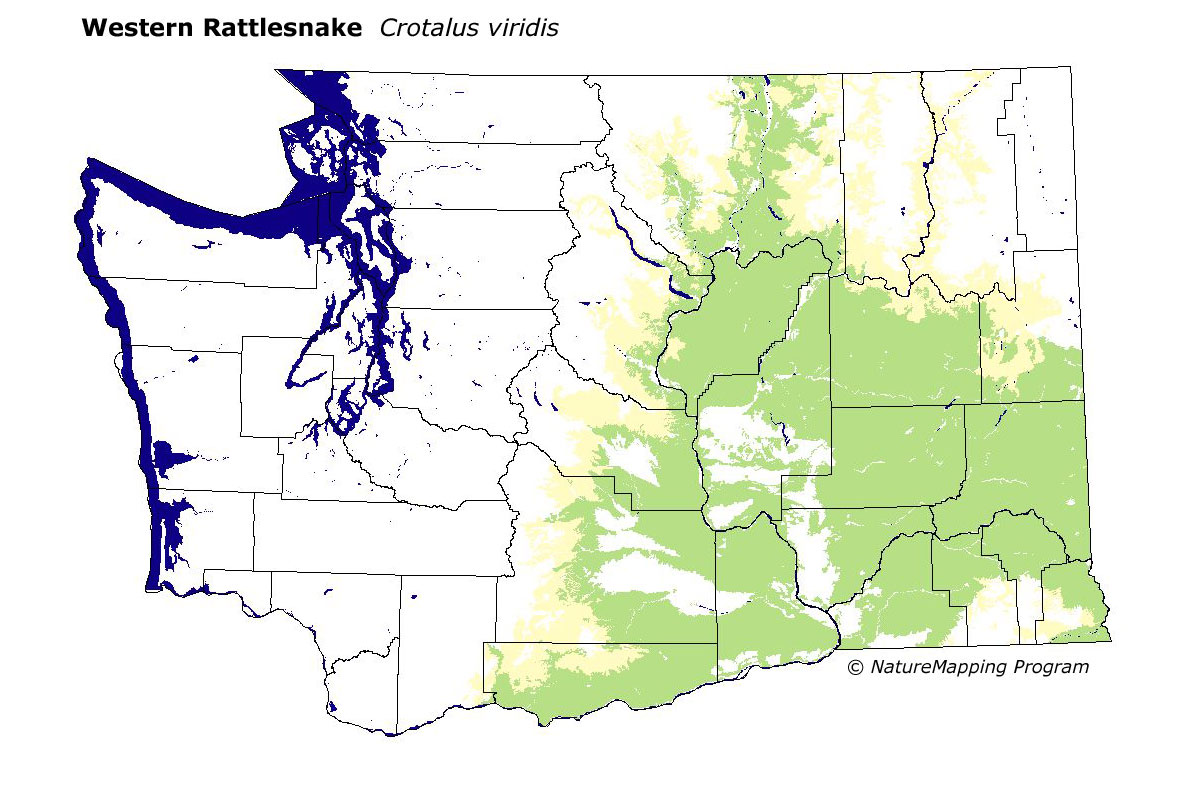 Distribution Map Western Rattlesnake Crotalus Viridis 