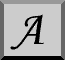 Aplacophora