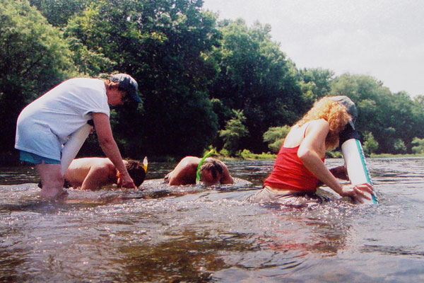 NatureMappers conducting a stream survey