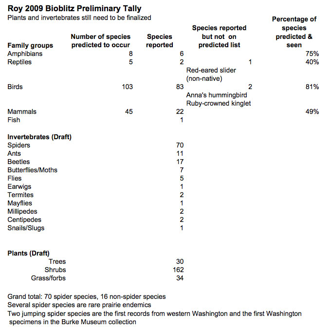 preliminary tally