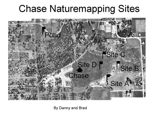 Chase NatureMapping

Sites