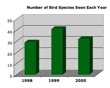 Number of Bird

Species Seen Each Year