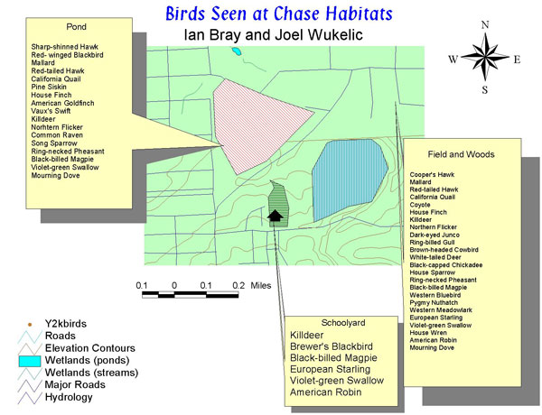 Birds Seen at Chase Habitats