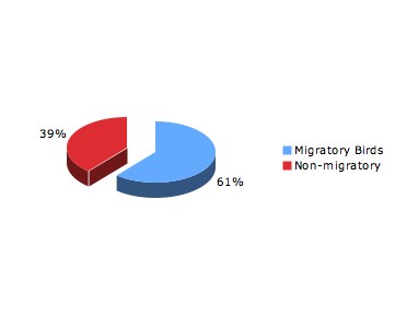 migratory or not