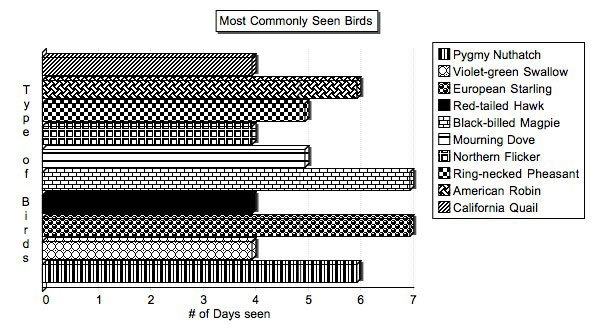 Most Commonly Seen

Birds