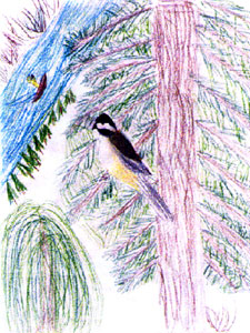 chickadee