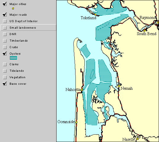 Satellite Image of Willapa Bay